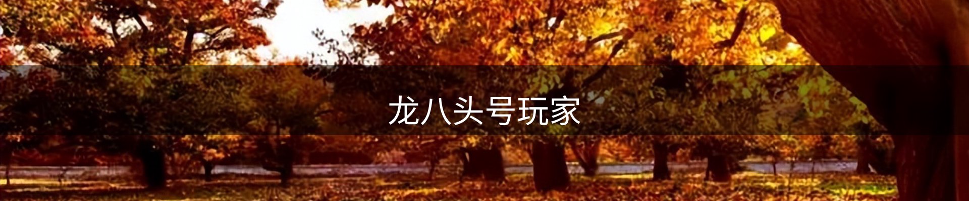 龙八头号玩家
